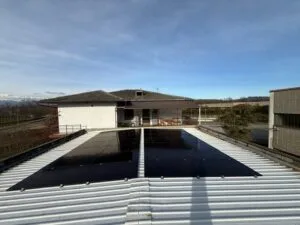 FOTO1 5
